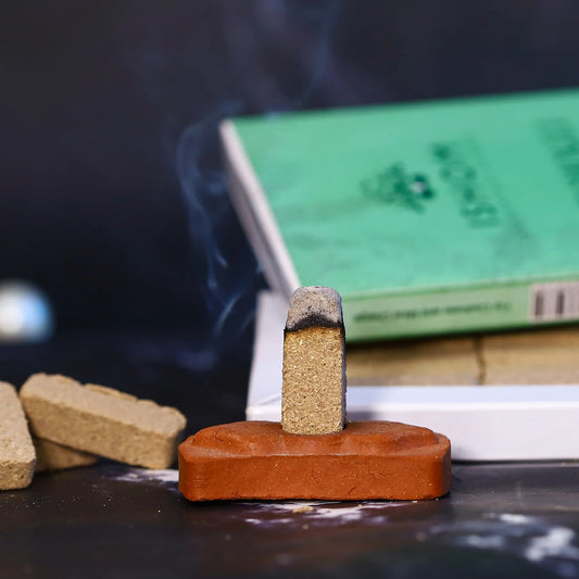 Mattoncini della sensualità- 15 mattoncini di incenso con supporto